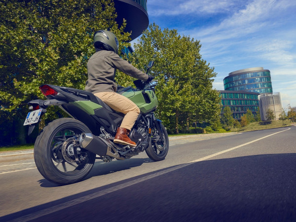 GY160 - ECO IVY ASH GREEN R